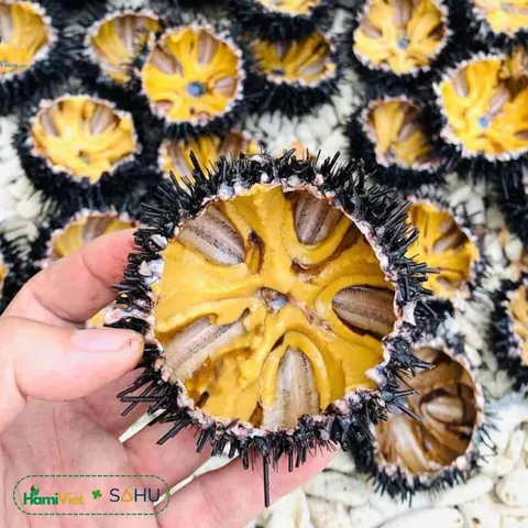 Mắm Nhum Tiến Vua Sahu - Đặc Sản Sa Huỳnh Đậm Đà, Ngọt Béo Tự Nhiên, Hương Vị Biển Thơm Ngon 200g