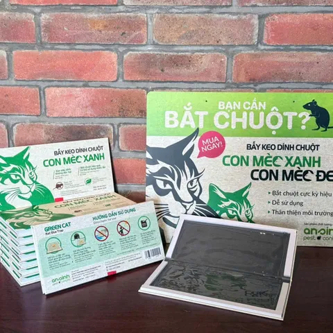 Bẫy Keo Dính Chuột Con Mèo Xanh 26x26,5cm - Hiệu Quả Bắt Chuột Nhỡ, An Toàn, Dùng Nhiều Lần, HDSD Đính Kèm