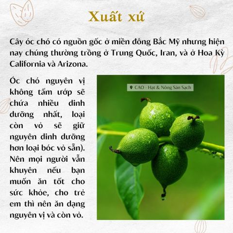 Hạt óc chó nguyên vỏ 500GR CAO Food nhập khẩu Mỹ - Hạt dinh dưỡng cao cấp, giàu protein và chất béo tốt cho sức khỏe