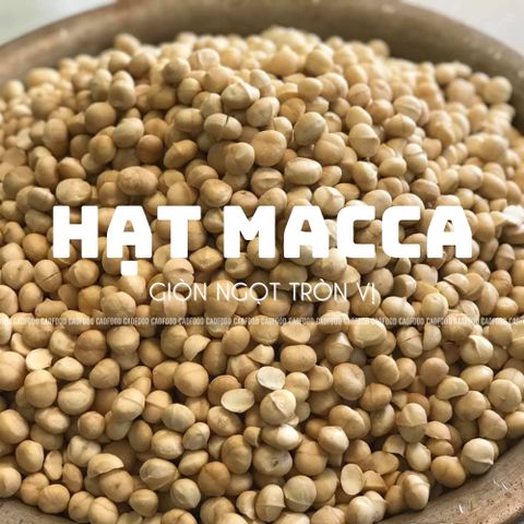 Hạt Macca Đaklak CAO FOOD 500gr - Loại 1 Nứt Vỏ To, Ngọt Bùi, Dinh Dưỡng Tự Nhiên, Hạt Ăn Liền, Giàu Chất Xơ, Thích Hợp Tặng Quà