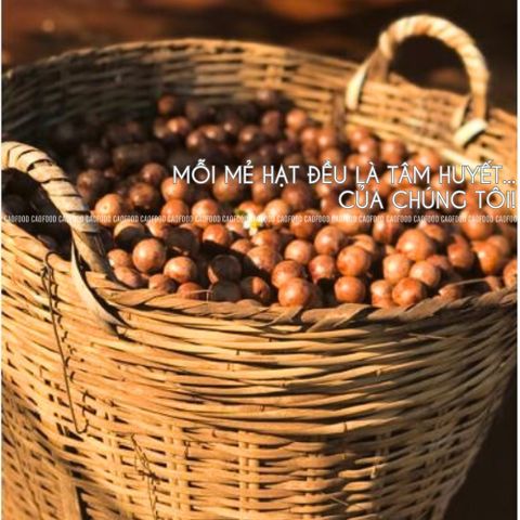 Hạt Macca Đaklak CAO FOOD 500gr - Loại 1 Nứt Vỏ To, Ngọt Bùi, Dinh Dưỡng Tự Nhiên, Hạt Ăn Liền, Giàu Chất Xơ, Thích Hợp Tặng Quà