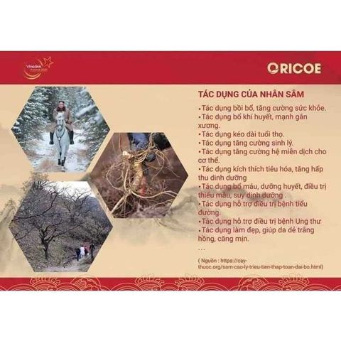 Cốt sâm Triều Tiên ORICOE 10ml - Giải độc gan, cải thiện trí nhớ, giảm đau nhức, tăng cường miễn dịch tự nhiên, thực phẩm chức năng sức khỏe