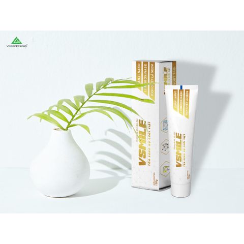 Kem Đánh Răng VSMILE - Giữ Sạch Răng Miệng, Ngăn Ngừa Đột Quỵ, Hơi Thở Thơm Mát, Đánh Bật Mảng Bám, Chăm Sóc Răng Miệng Tốt Nhất