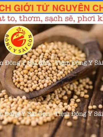 Hạt Bạch Giới Tử 100g - Hỗ Trợ Hô Hấp, Giảm Khó Thở, Thảo Dược Tự Nhiên Từ Rau Cải Canh, Tiệm Đông Y Sài Gòn