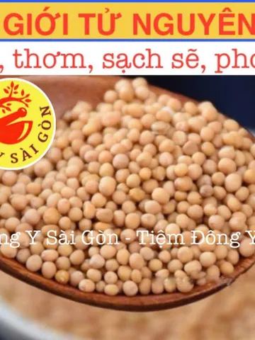 Hạt Bạch Giới Tử 100g - Hỗ Trợ Hô Hấp, Giảm Khó Thở, Thảo Dược Tự Nhiên Từ Rau Cải Canh, Tiệm Đông Y Sài Gòn
