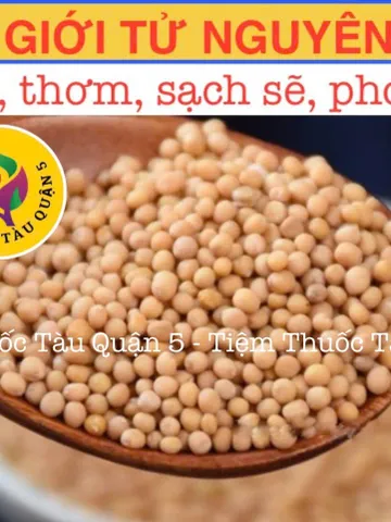 Bạch Giới Tử 100g - Hạt Cải Trắng Hỗ Trợ Giảm Khó Thở, Đờm Nhiều - Thảo Dược Đông Y Chất Lượng Cao