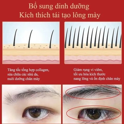 Serum Mọc Chân Mày 7 Ngày Hiệu Quả - Dưỡng Mi Dài Cong, Nuôi Dưỡng Sâu, Cải Thiện Độ Dày An Toàn Cho Mọi Loại Da