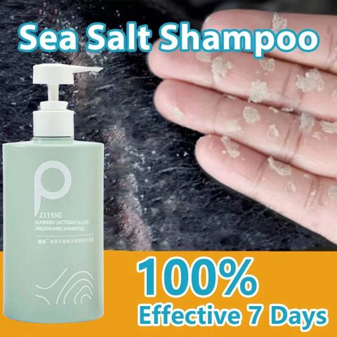 Dầu Gội Sạch Gàu – Phục Hồi Nang Tóc, Ngăn Ngừa Rụng Tóc, Làm Sạch Da Đầu Nhờn, Giảm Ngứa Da Đầu, Dầu Gội Chất Lượng Cao