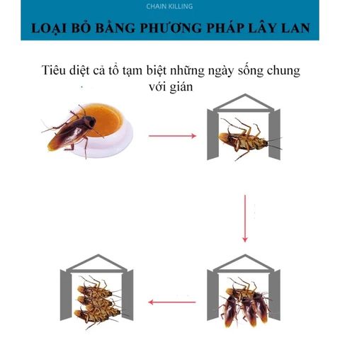 Nhãn Dán Diệt Gián Sinh Học An Toàn - Giải Pháp Hiệu Quả Đảm Bảo Không Gian Sống Sạch Sẽ, Không Hóa Chất Độc Hại