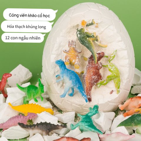 Đồ Chơi Khảo Cổ Hóa Thạch Trứng Khủng Long - Bộ Dụng Cụ Khám Phá Khoa Học Cho Trẻ Em Từ 4 Tuổi
