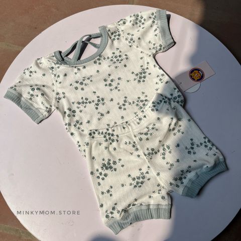 peekaboo2023 Bộ Cộc Hoa Rose Thun Cotton Mềm Mại Phong Cách Hàn Quốc Cho Bé