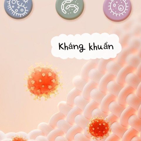 Áo Gile Giữ Nhiệt Kháng Khuẩn Không Đường May Cho Bé - Mặc Lót Ngủ Ấm Áp Lưng Ngực Bụng, Nhiều Size Và Màu Sắc