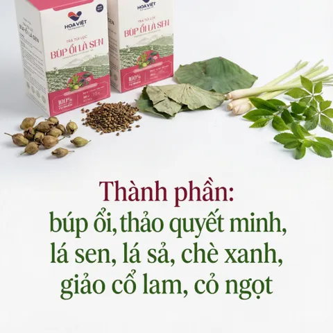 Trà Túi Lọc Búp Ổi Lá Sen - Hỗ Trợ Giảm Cân, Giảm Mỡ Máu, Ổn Định Đường Huyết, Detox Từ Thiên Nhiên - Hộp 30 Túi Lọc