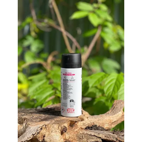Xịt Khử Mùi LYNX Anarchy for Her - Sản Phẩm Chính Hãng Mỹ, Hương Thơm Nữ Tính Dành Cho Bạn Gái