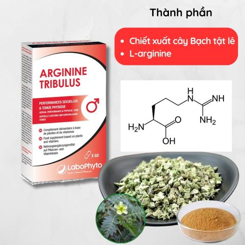Viên Uống Tăng Cường Sinh Lực Nam Labophyto Arginine 60 Viên - Hỗ Trợ Năng Lượng & Sức Bền Từ Pháp, Dinh Dưỡng Toàn Diện Cho Nam Giới