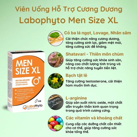 Viên Uống Labophyto Men Size XL - Bổ Sung Dinh Dưỡng Tối Ưu Cho Nam Giới - Chiết Xuất Thực Vật, Vitamin Và Khoáng Chất Hộp 60 Viên