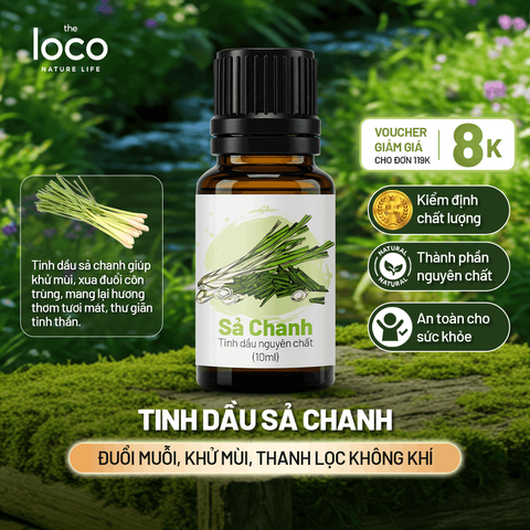Tinh Dầu Xông Phòng The Loco 10ml - Tinh Dầu Sả Chanh, Cam, Quế, Bạc Hà, Hương Thảo, Oải Hương Cao Cấp | Hương Thơm Tươi Mát, Thư Giãn