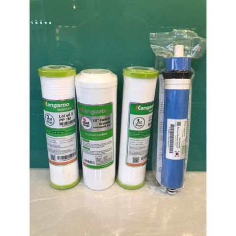Bộ 4 Lõi Lọc Nước KANGAROO 1234 - Hàng Chính Hãng, Lọc Sạch Vi Rút, Vi Khuẩn, Tăng Cường An Toàn Cho Nước Uống