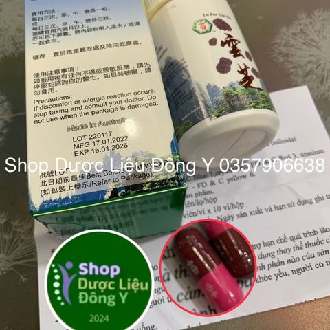 Viên uống Lục Bảo Vân Chi Chính Hãng - Hỗ Trợ Tăng Cường Sức Kháng và Giải Độc Gan - Hộp 60 Viên Ngày Mới