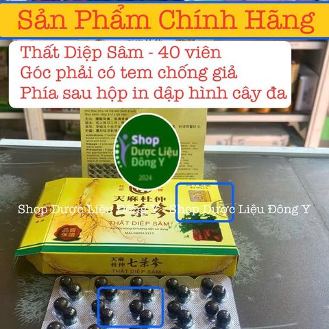 Viên Thất Diệp Sâm Giảm Đau Khớp 40 Viên - Hàng Chính Hãng Malaysia, Hỗ Trợ Chống Viêm và Tái Tạo Sụn Khớp