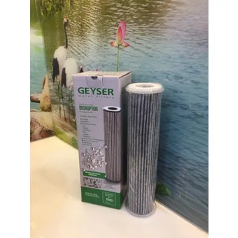 Lõi lọc nước Disruptor Geyser Ecotar 4 - Công nghệ Nano, Khử Virut & Bacteria, Hàng Chính Hãng Nhập Khẩu LB Nga