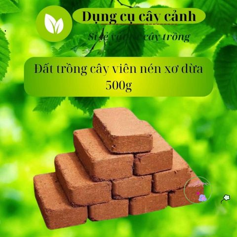 Viên Đất Trồng Cây Nén Sơ Dừa Hữu Cơ - Dinh Dưỡng Chuyên Dụng Cho Cây Kiểng và Rau Mầm, Nở Gấp 5 Lần!
