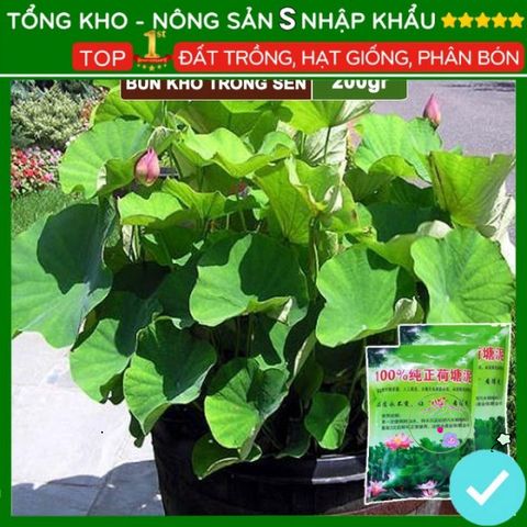 Bùn Khô Trồng Hoa Sen Nhật - Đất Trồng Cây Thủy Sinh 200g, Chăm Sóc Dễ Dàng - Hạt Nảy Mầm Nhanh, Bồi Dưỡng Đất Tốt