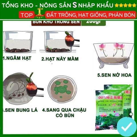 Bùn Khô Trồng Hoa Sen Nhật - Đất Trồng Cây Thủy Sinh 200g, Chăm Sóc Dễ Dàng - Hạt Nảy Mầm Nhanh, Bồi Dưỡng Đất Tốt