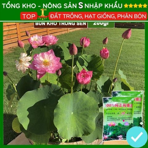 Bùn Khô Trồng Hoa Sen Nhật - Đất Trồng Cây Thủy Sinh 200g, Chăm Sóc Dễ Dàng - Hạt Nảy Mầm Nhanh, Bồi Dưỡng Đất Tốt