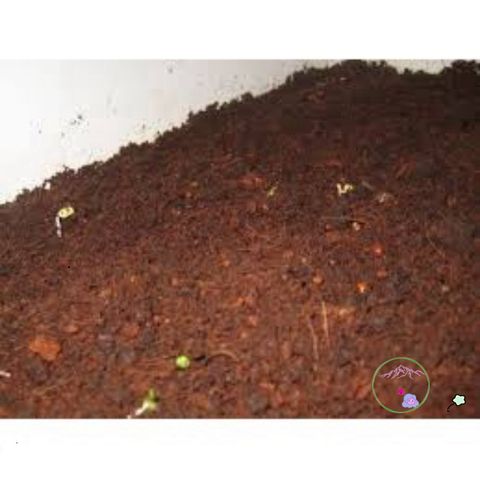 1kg Đất trồng Thủy Cam - Đất trồng sạch phối trộn xơ dừa và dinh dưỡng cho cây, nuôi trùn quế, không cần phân bón
