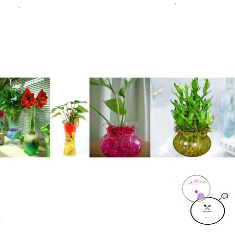 Hạt Tinh Thể Nở 10g Đủ Màu - Giải Pháp Trang Trí Cây Cảnh, Cắm Hoa, An Toàn Cho Không Gian Sống Tươi Đẹp