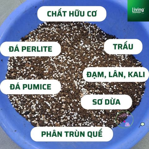 Đất Trồng Cây Nội Thất Giàu Dinh Dưỡng - Phù Hợp Cho Cây Văn Phòng & Hoa - Gói 1kg | Living Decor