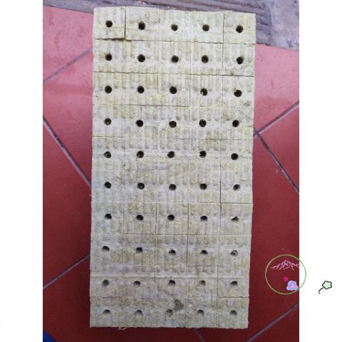 Gói 50 viên Giá Thể Rockwool Ươm Cây 38x38x50cm - Giải Pháp Gieo Hạt Tối Ưu Cho Thủy Canh và Khí Canh, Tỷ Lệ Nẩy Mầm Cao