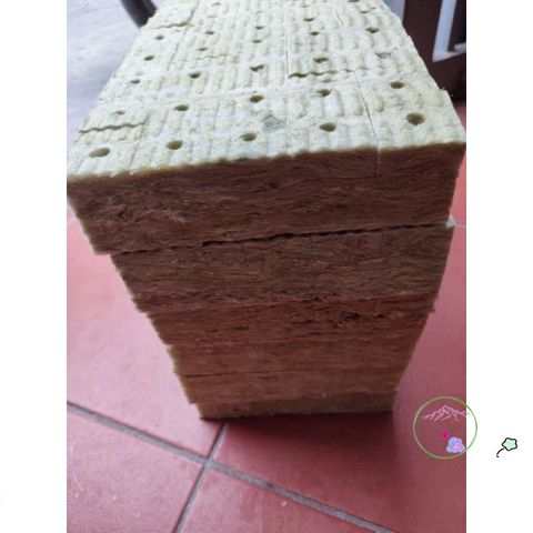Gói 50 viên Giá Thể Rockwool Ươm Cây 38x38x50cm - Giải Pháp Gieo Hạt Tối Ưu Cho Thủy Canh và Khí Canh, Tỷ Lệ Nẩy Mầm Cao