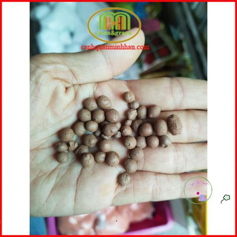 Viên Đất Nung Thái Popper 1L - Sỏi Nhẹ Chuyên Dụng Trồng Xương Rồng, Lan, Cây Sứ và Cây Cảnh Khác