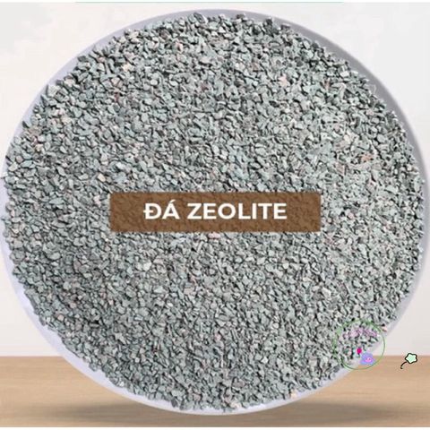 Đá Zeolite Khoáng Tự Nhiên Cho Sen Đá - Kích Thước 2-4mm & 3-6mm, Hỗ Trợ Cải Tạo Đất, Túi 1kg, Thích Hợp Trộn Giá Thể
