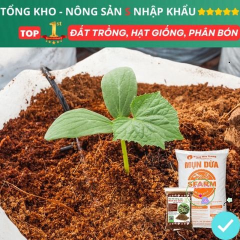 Xơ Dừa Xử Lý 1kg - Giải Pháp Tối Ưu Dinh Dưỡng Cho Cây Trồng, Hoa, Dâu Tây và Thủy Canh Hữu Cơ, Giữ Ẩm Tốt, Tăng Độ Xốp Đất
