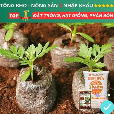 Xơ Dừa Xử Lý 1kg - Giải Pháp Tối Ưu Dinh Dưỡng Cho Cây Trồng, Hoa, Dâu Tây và Thủy Canh Hữu Cơ, Giữ Ẩm Tốt, Tăng Độ Xốp Đất