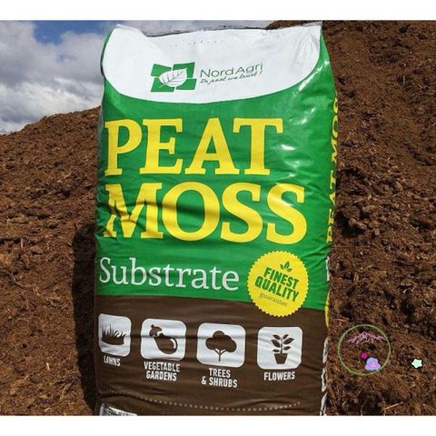 Bộ đất trồng sen đá và cây cảnh cao cấp - Mix đá tự nhiên và peat moss, cung cấp dinh dưỡng tuyệt vời cho cây trồng của bạn.