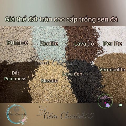 Bộ đất trồng sen đá và cây cảnh cao cấp - Mix đá tự nhiên và peat moss, cung cấp dinh dưỡng tuyệt vời cho cây trồng của bạn.
