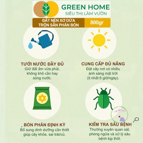 Đất Nén Hữu Cơ GreenHome 800gr - Viên Nén Phân Bón Tăng Trưởng Rau Hoa, Nở Gấp 5 Lần, Tiện Lợi, Tái Sử Dụng