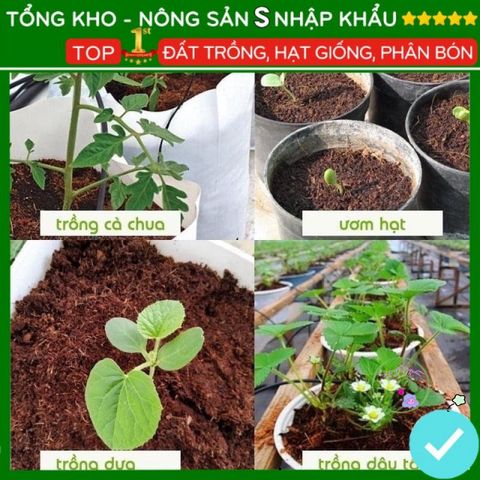 Viên Đất Nén Xơ Dừa Hữu Cơ - Vật Liệu Trồng Cây Sạch, Dinh Dưỡng Tự Nhiên, Giúp Phát Triển Khỏe Mạnh 500g
