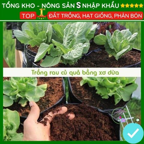 Viên Đất Nén Xơ Dừa Hữu Cơ - Vật Liệu Trồng Cây Sạch, Dinh Dưỡng Tự Nhiên, Giúp Phát Triển Khỏe Mạnh 500g