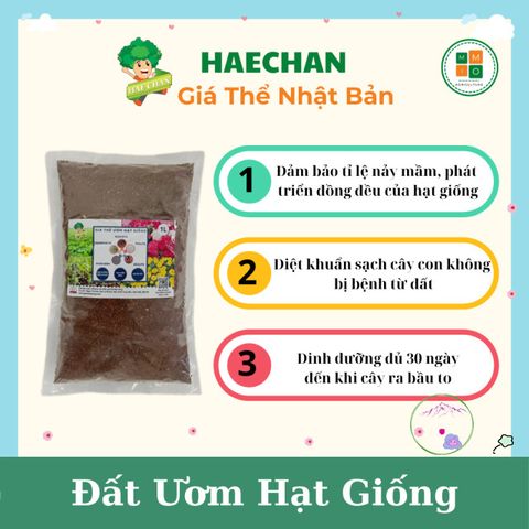 Giá Thể Xơ Dừa Ơm Hạt Giống Chuẩn Nhật Bản Haechan - Phát Triển Nhanh Cây Trồng, An Toàn Cho Nông Sản Sạch