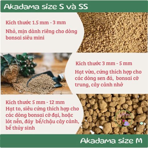Đất Nung Nhật Bản Akadama Size M (5-10mm) - Hạt Chắc Đẹp Lý Tưởng Cho Cây Kiểng, Bonsai, Thủy Sinh, Sen Đá, Xương Rồng