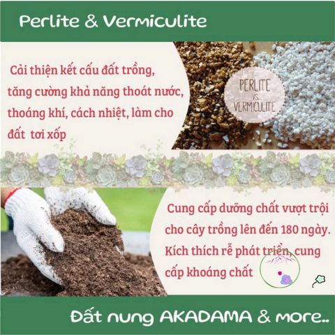 Đất Nung Nhật Bản Akadama Size M (5-10mm) - Hạt Chắc Đẹp Lý Tưởng Cho Cây Kiểng, Bonsai, Thủy Sinh, Sen Đá, Xương Rồng