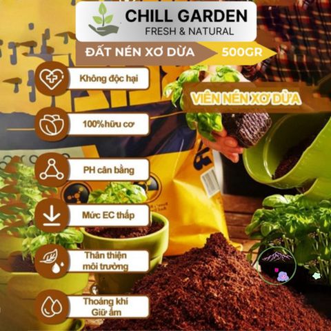 Bộ 10 Viên Nén Xơ Dừa Ơm Hạt Giống - Nở Gấp 8 Lần, Chậu Trồng Cây Trong Nhà Phố, Phù Hợp Với Khí Hậu Việt Nam