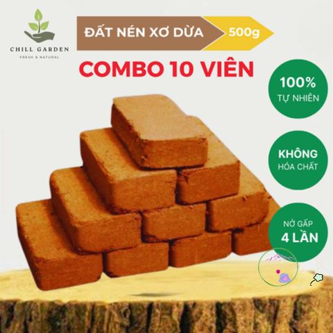 Bộ 10 Viên Nén Xơ Dừa Ơm Hạt Giống - Nở Gấp 8 Lần, Chậu Trồng Cây Trong Nhà Phố, Phù Hợp Với Khí Hậu Việt Nam
