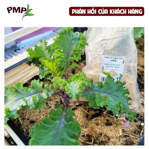 Vỏ Lạc Nghiền Hữu Cơ BIO PMP - Giá Thể Trồng Cây, Giữ Ẩm, Tăng Mùn, Phù Hợp Trồng Hoa Cảnh và Rau Sạch