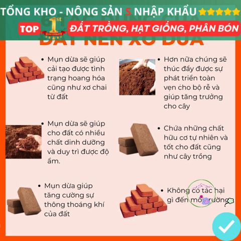 Bộ 5 Viên Nén Xơ Dừa Hữu Cơ Trồng Cây, Rau, Hoa - Tặng Hạt Giống F1 Giúp Rễ Phát Triển Tốt Nhất